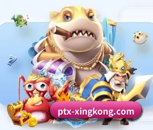 了解平台 - 体育资讯内容服务(xingkong.com)